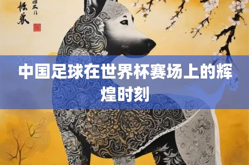 中国足球在世界杯赛场上的辉煌时刻