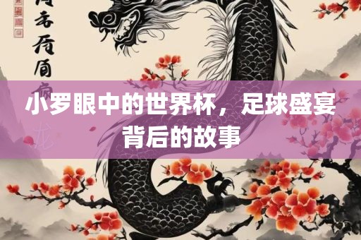 小罗眼中的世界杯，足球盛宴背后的故事