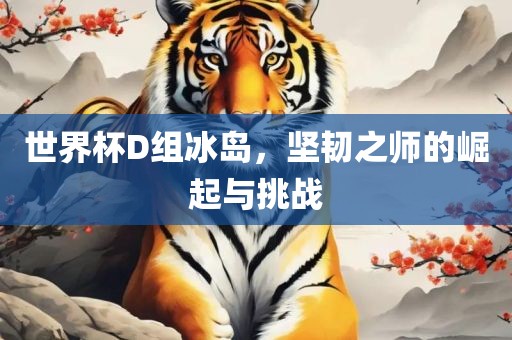 世界杯D组冰岛，坚韧之师的崛起与挑战眉山市正发家政服务有限公司