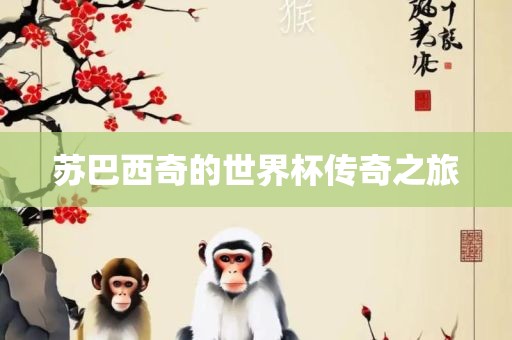 苏巴西奇的世界杯传奇之旅眉山市正发家政服务有限公司