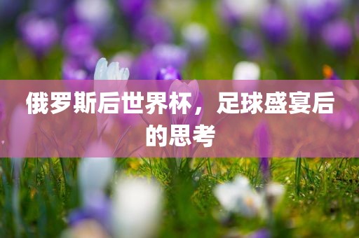 俄罗斯后世界杯，足球盛宴后的思考眉山市正发家政服务有限公司