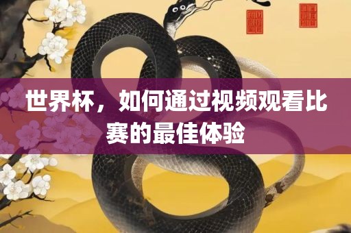 世界杯，如何通过视频观看比赛的最佳体验