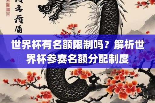 世界杯有名额限制吗？解析世界杯参赛名额分配制度