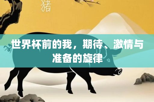 世界杯前的我，期待、激情与准备的旋律