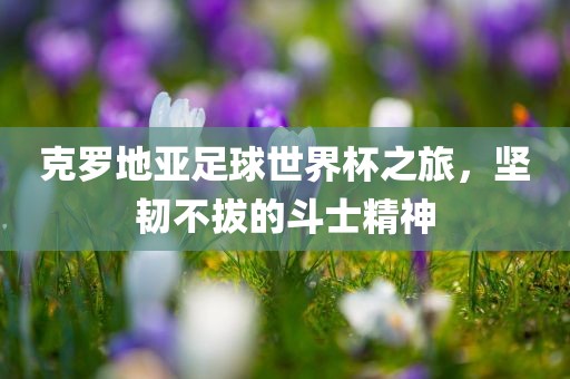 克罗地亚足球世界杯之旅，坚韧不拔的斗士精神
