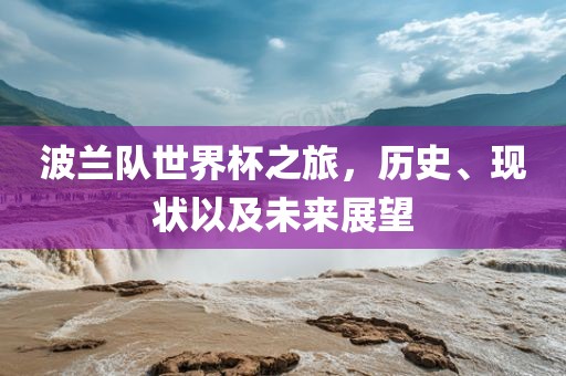 波兰队世界杯之旅，历史、现状以及未来展望