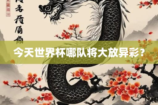 今天世界杯哪队将大放异彩？