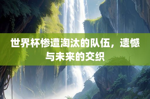 世界杯惨遭淘汰的队伍，遗憾与未来的交织