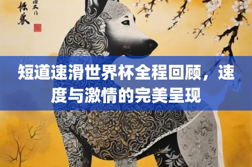短道速滑世界杯全程回顾，速眉山市正发家政服务有限公司度与激情的完美呈现