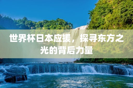 世界杯日本应援，探寻东方之光的背后力量眉山市正发家政服务有限公司