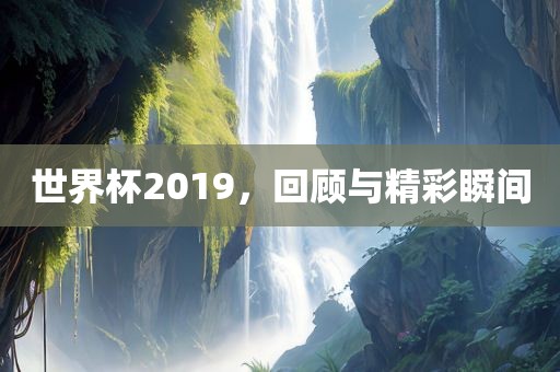 世界杯2019，回顾与精彩瞬间眉山市正发家政服务有限公司