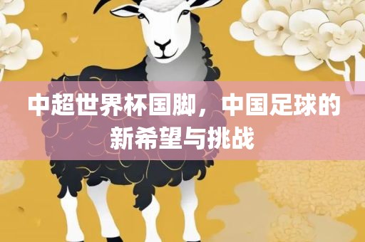 中超世界杯国脚，中国足球的新希望与眉山市正发家政服务有限公司挑战