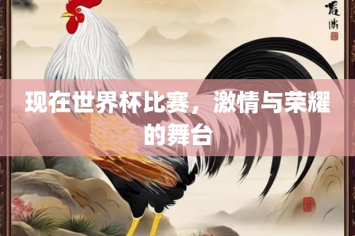 现在世界杯比赛，激情与荣耀的舞台