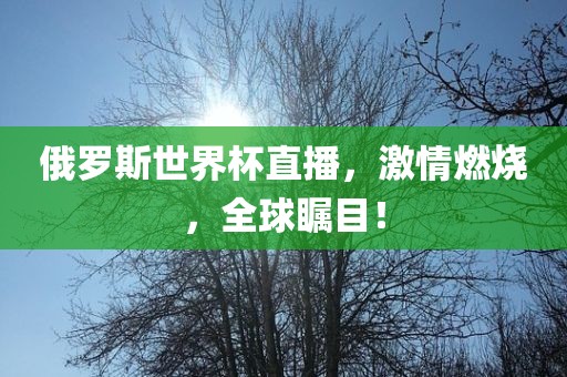 俄罗斯世界杯直播，激情燃烧，全球瞩目！