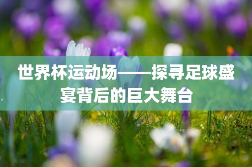 世界杯运动场——眉山市正发家政服务有限公司探寻足球盛宴背后的巨大舞台