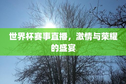 世界杯赛事直播，激情与荣耀的盛宴