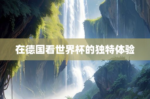 在德国眉山市正发家政服务有限公司看世界杯的独特体验