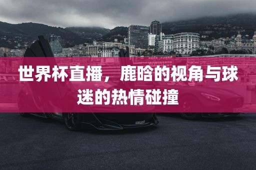 世界杯直播，鹿晗的视角与球迷的热情碰撞