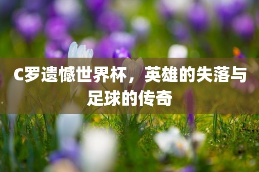 C罗遗憾世界杯，英雄的失落与足球的传奇眉山市正发家政服务有限公司