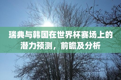 瑞典与韩国在世界杯赛场上的潜力预测，前瞻及分析眉山市正发家政服务有限公司