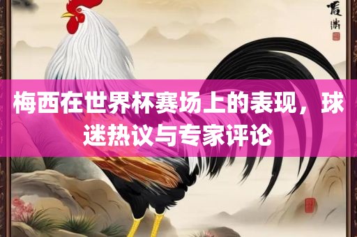 梅西在世界杯赛场上的表现，球迷眉山市正发家政服务有限公司热议与专家评论