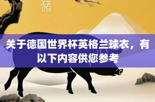 关于德国世界杯英格兰球衣，有以下内容供您参考