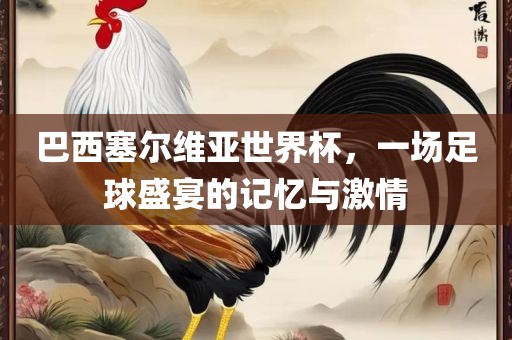 巴西塞尔维亚世界杯，一场足球盛宴的记忆眉山市正发家政服务有限公司与激情