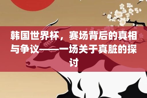 韩国世界杯，赛场背后的真相与争议——一场关于真脏的探讨眉山市正发家政服务有限公司