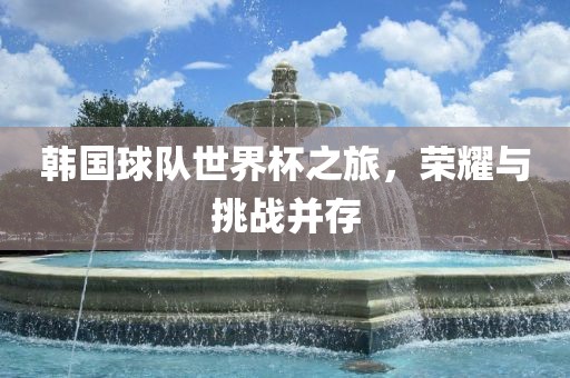 韩国球队世界杯之旅，荣耀与挑战并存