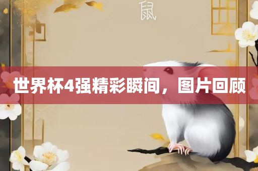zhenzhi 第2页