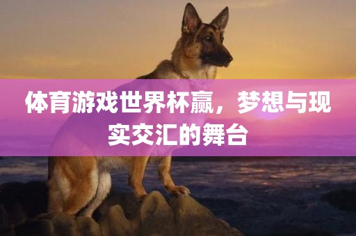 体育游戏世界杯赢，梦想与现实交汇的舞台