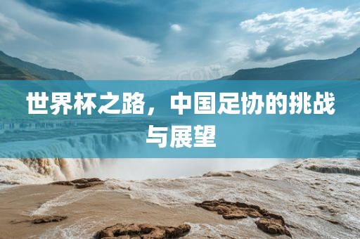 世界杯之路，中国足协的挑战与展望