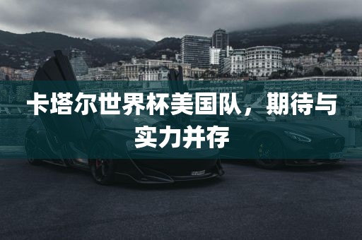 卡塔尔世界杯美国队，期待与实力并存