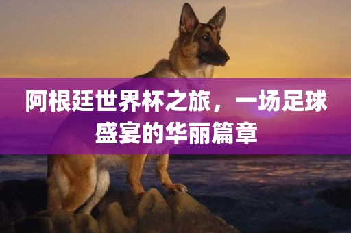 阿根廷世界杯之旅，一场足球盛宴的华丽篇章