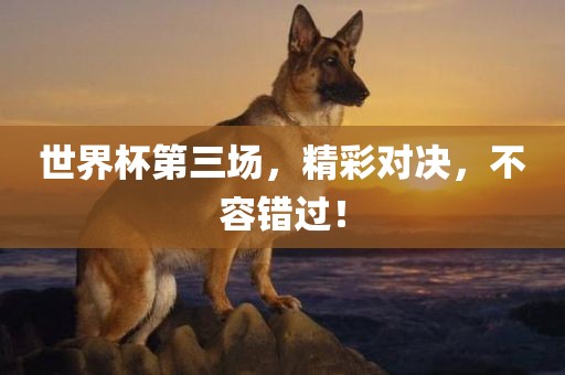 世界杯第三场，精彩对决，不容错过！眉山市正发家政服务有限公司