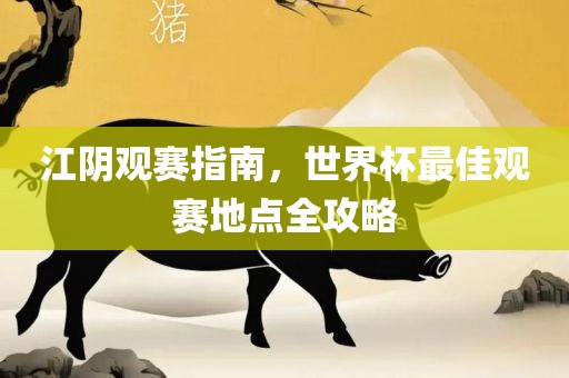 江阴观赛指南，世界杯最佳观赛地点全攻略眉山市正发家政服务有限公司
