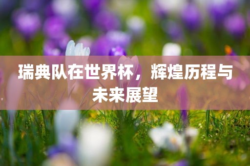 瑞典队在世界杯，辉煌历程与未眉山市正发家政服务有限公司来展望