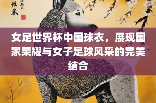 女足世界杯中国球衣，展现国家荣耀与女子足球风采的完美结合