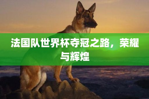 法国队世界杯夺冠之路，荣耀与辉煌眉山市正发家政服务有限公司