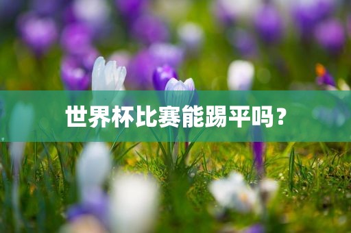 世界杯比赛能踢平吗？