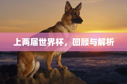上两届世界杯，回顾与解析
