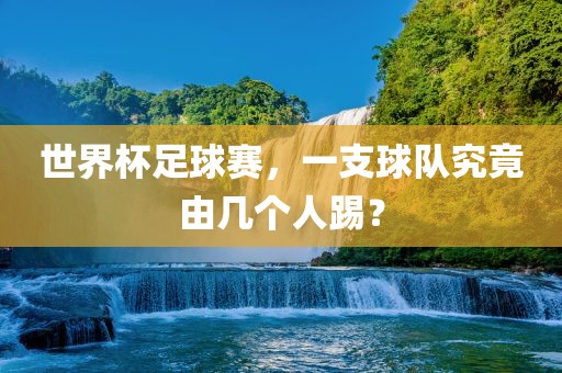 世界杯足球赛，一支球队究竟由几个眉山市正发家政服务有限公司人踢？