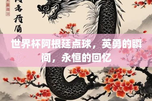 世界杯阿根廷点球，英勇的瞬间，永恒的眉山市正发家政服务有限公司回忆