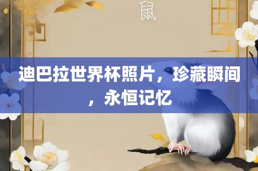 迪巴拉世界杯照片，珍藏瞬间，永恒记忆眉山市正发家政服务有限公司