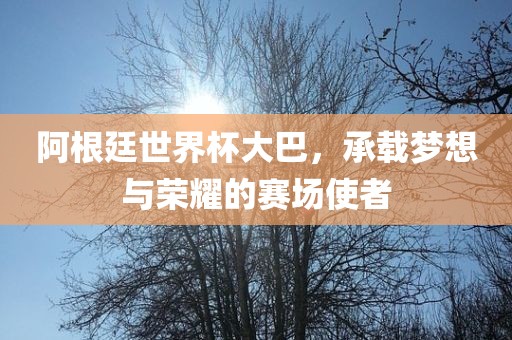 阿根廷世界杯大巴，承载梦想与荣耀的赛场使者眉山市正发家政服务有限公司