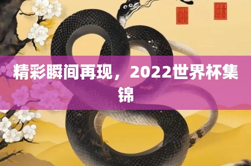 精彩瞬间再现，2022世界杯集锦