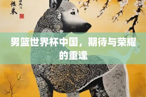 男篮世界杯中国，期待与荣耀的重逢