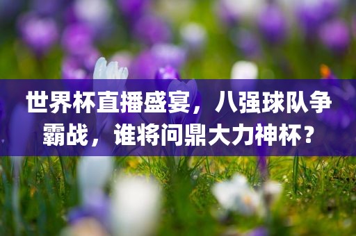 世界杯直播盛宴，八强球队争霸战，谁将问鼎大力神杯？