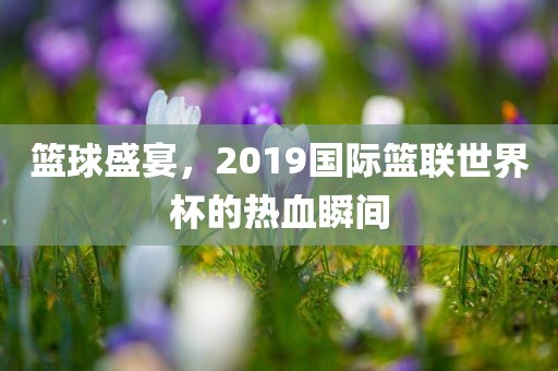 篮球盛宴，2019国际篮联世界杯的热血瞬间眉山市正发家政服务有限公司