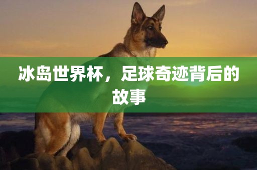 冰岛世界杯，足球奇迹背后的故事